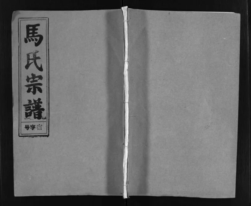 安徽安庆怀宁县马氏宗谱（绛帐堂）PDF电子版下载-家谱下载