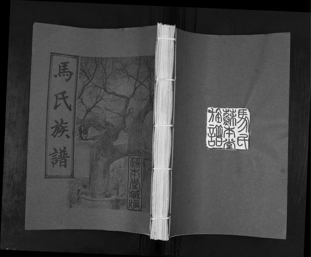 图片[1]-山东青岛城阳区马氏族谱PDF电子版下载-家谱下载