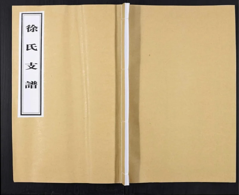 山东临沂徐氏族谱PDF电子版下载-家谱下载