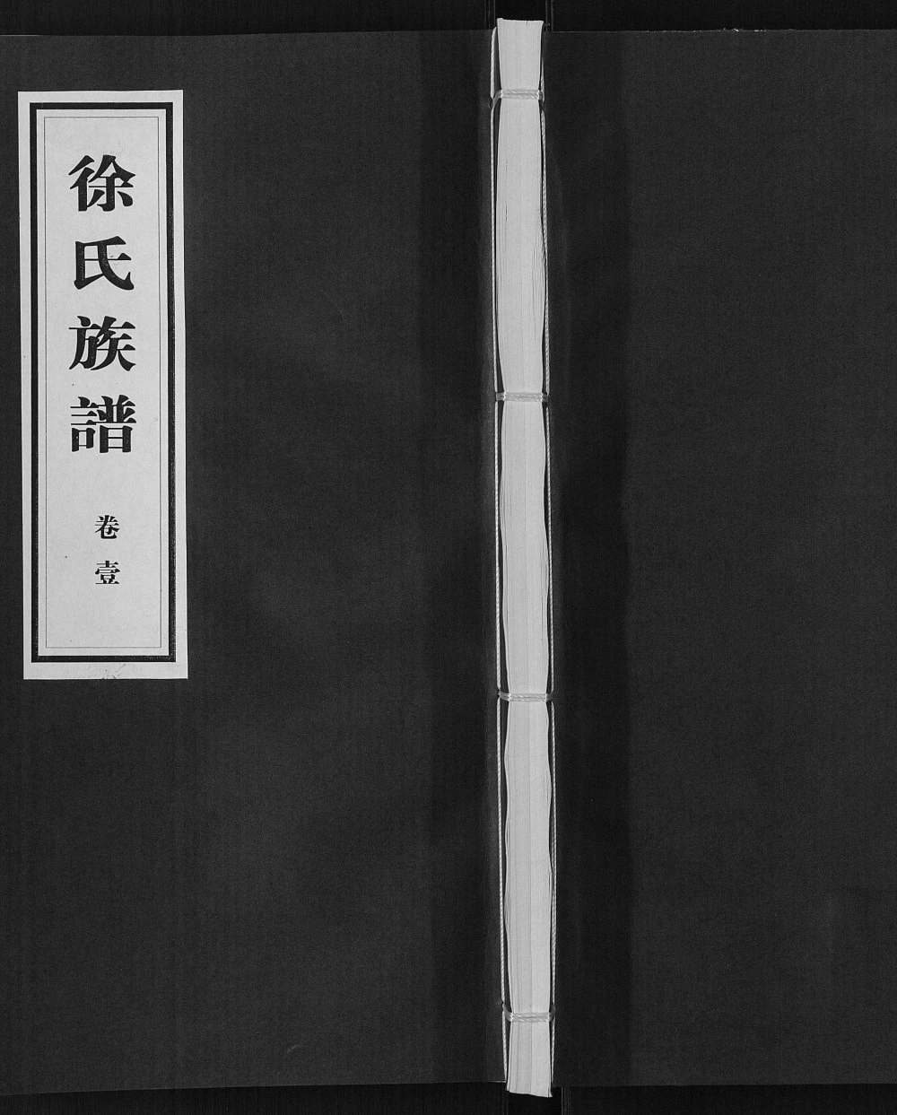 图片[1]-山东临沂沂水县徐氏族谱PDF电子版下载-家谱下载