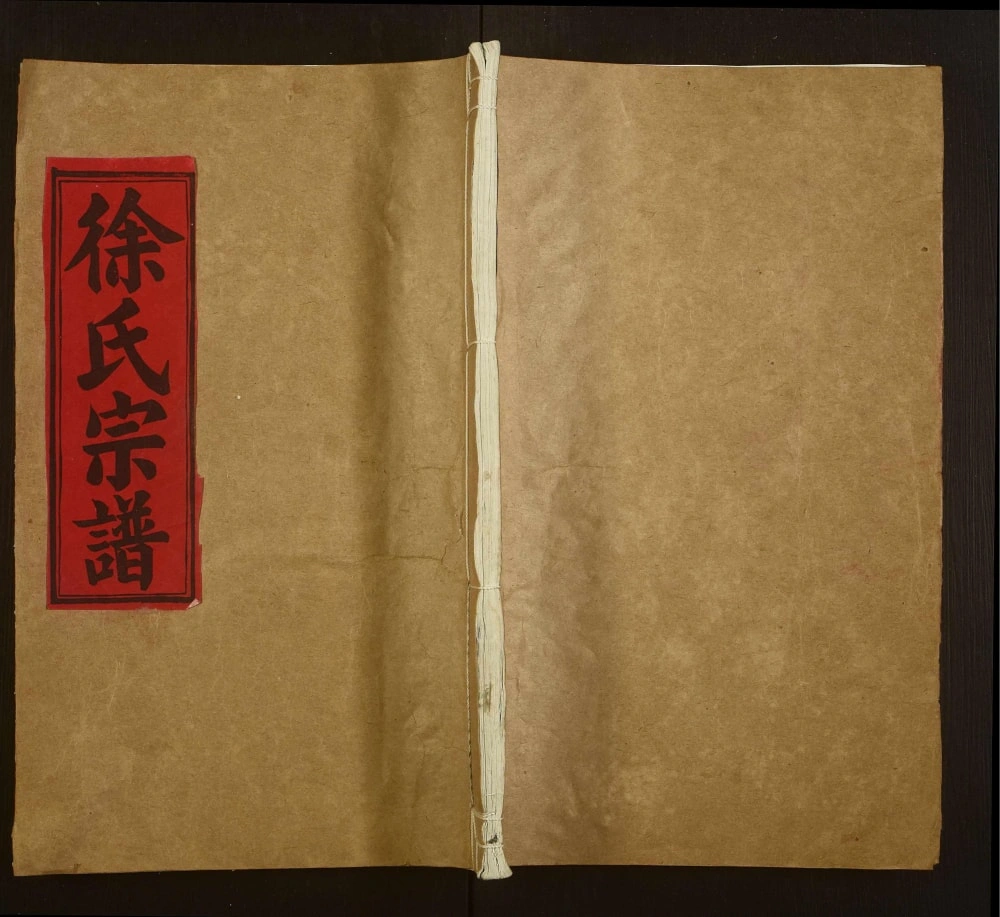 图片[1]-湖北徐氏宗谱（南州堂）PDF电子版下载-家谱下载