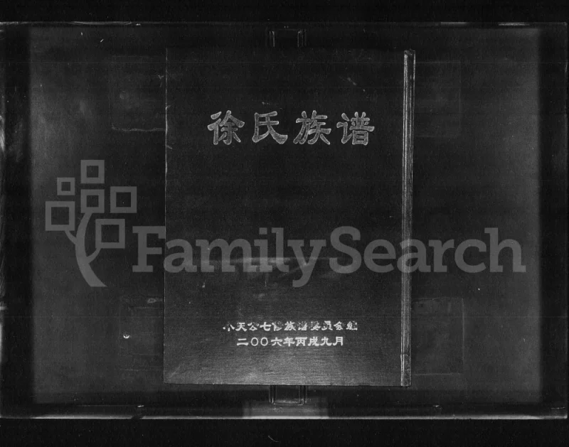 湖南益阳徐氏族谱PDF电子版下载-家谱下载