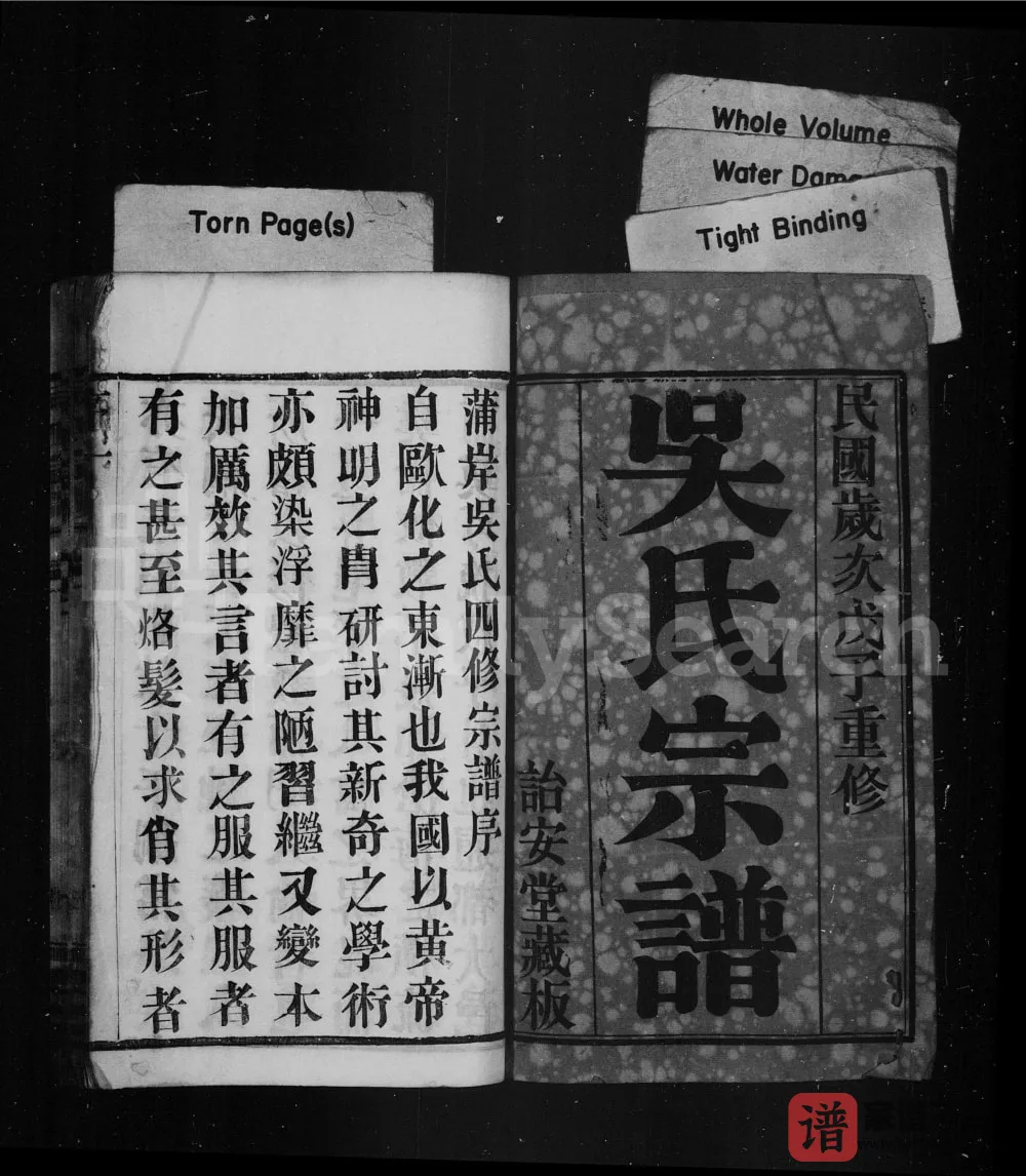 图片[1]-江苏常州蒲岸里吴氏宗谱（诒安堂）PDF电子版下载-家谱下载