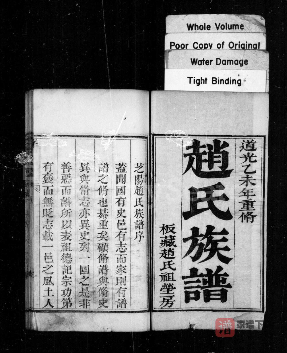 图片[2]-山东龙口芝阳赵氏族谱PDF电子版下载-家谱下载