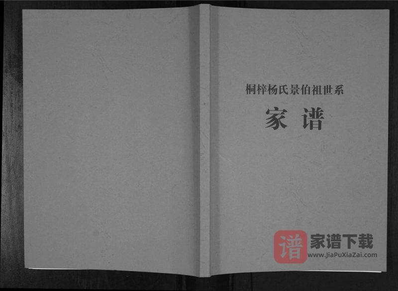 贵州遵义桐梓杨氏景伯祖世系家谱PDF电子版下载-家谱下载