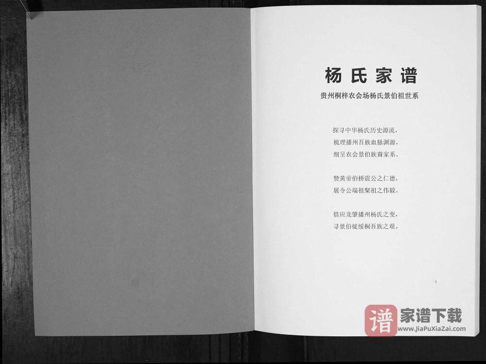 图片[2]-贵州遵义桐梓杨氏景伯祖世系家谱PDF电子版下载-家谱下载
