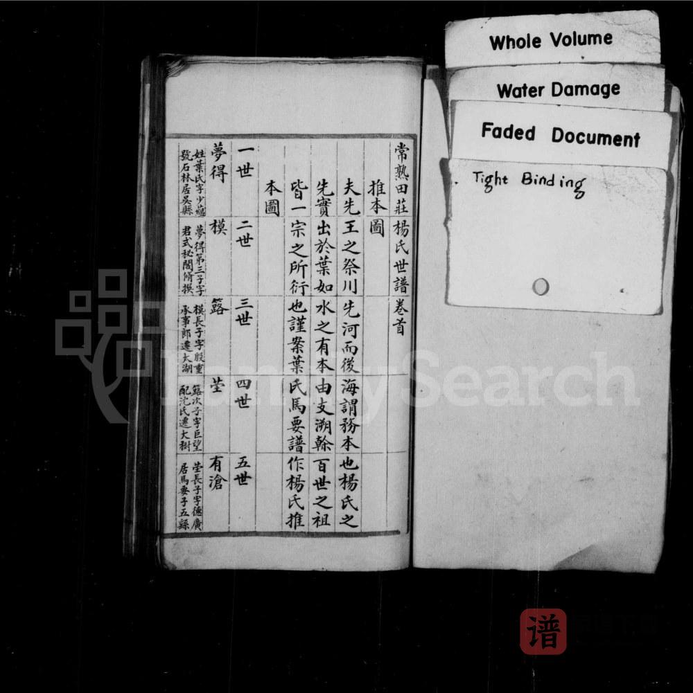 图片[2]-江苏张家港田庄杨氏世谱PDF电子版下载-家谱下载