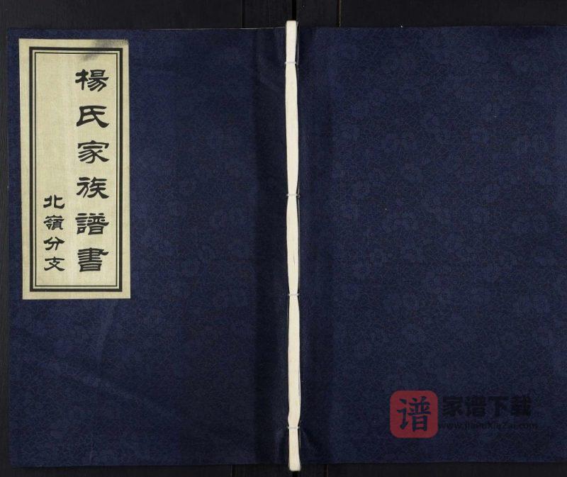 山东寿光杨氏家族谱书北岭分支PDF电子版下载-家谱下载