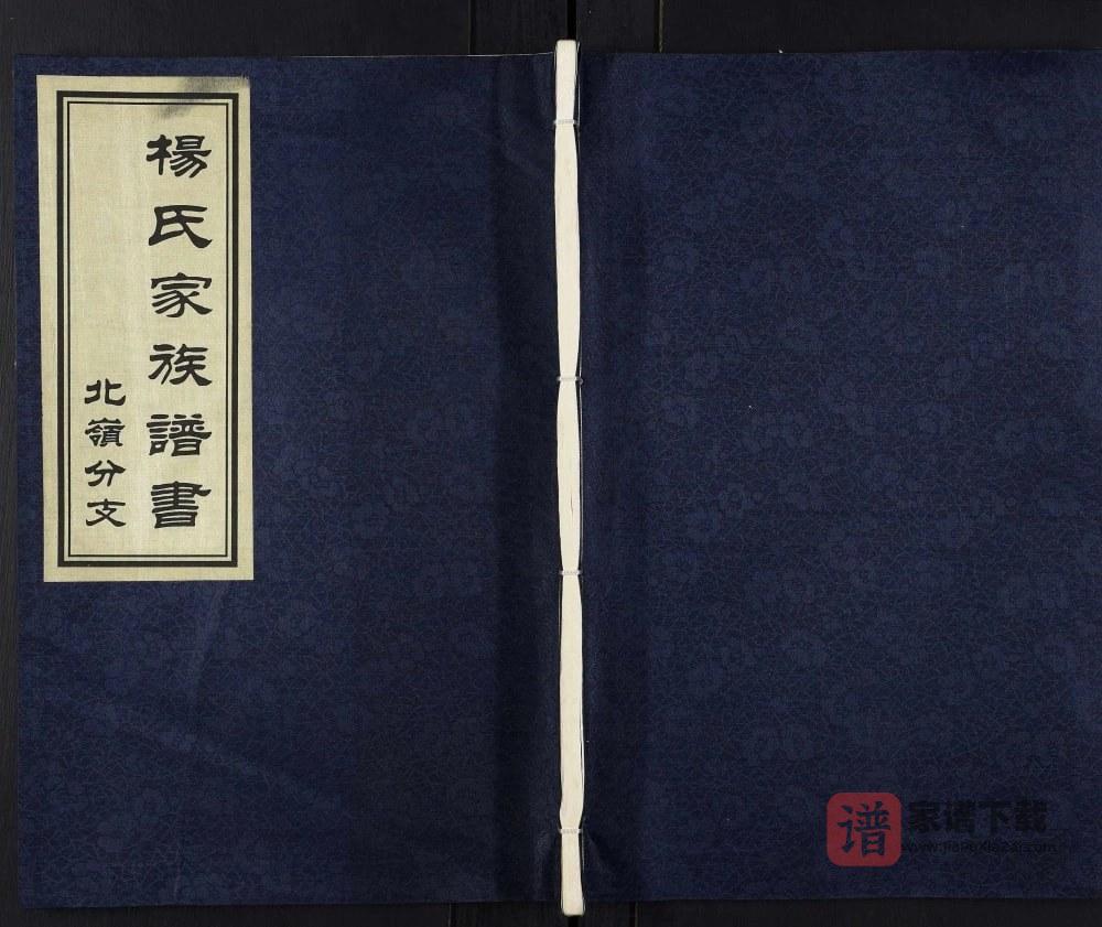 图片[1]-山东寿光杨氏家族谱书北岭分支PDF电子版下载-家谱下载