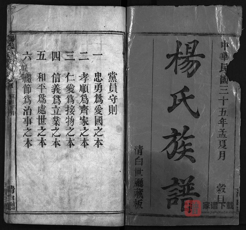 图片[2]-湖北麻城杨氏族谱（青白厅）PDF高清电子版下载-家谱下载
