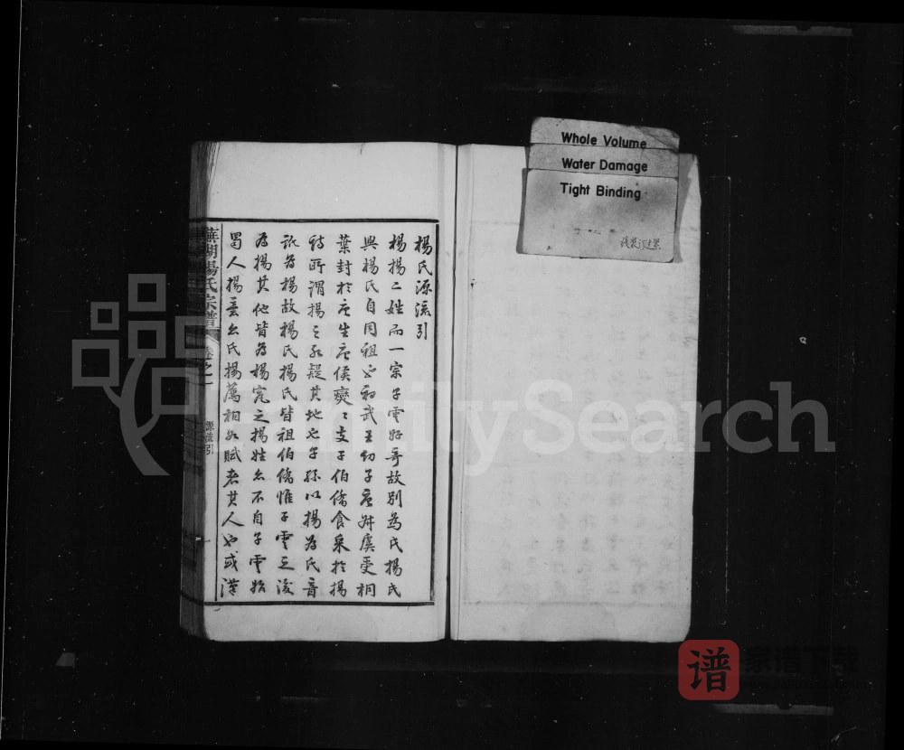 图片[2]-安徽芜湖杨氏宗谱PDF高清电子版下载-家谱下载