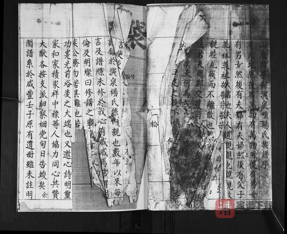 图片[2]-山东青岛即墨演泉杨氏族谱PDF高清电子版下载-家谱下载
