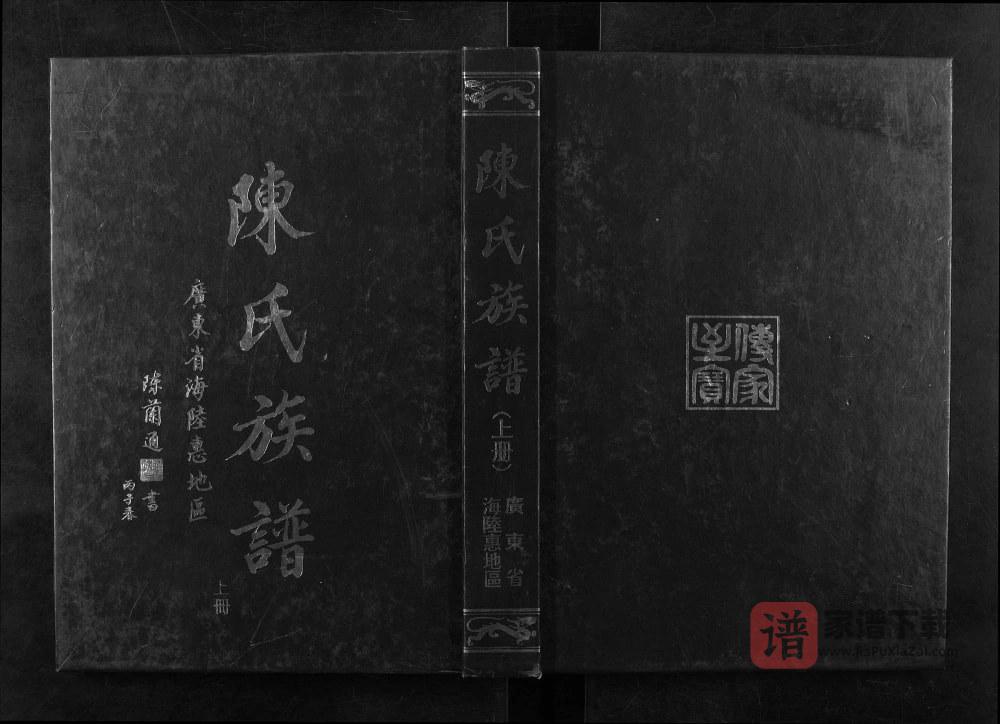 广东省海陆惠地区陈氏族谱PDF高清电子版下载