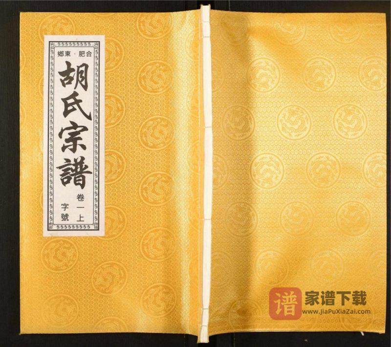 安徽合肥东乡胡氏宗谱(陈策堂)PDF高清电子版下载-家谱下载