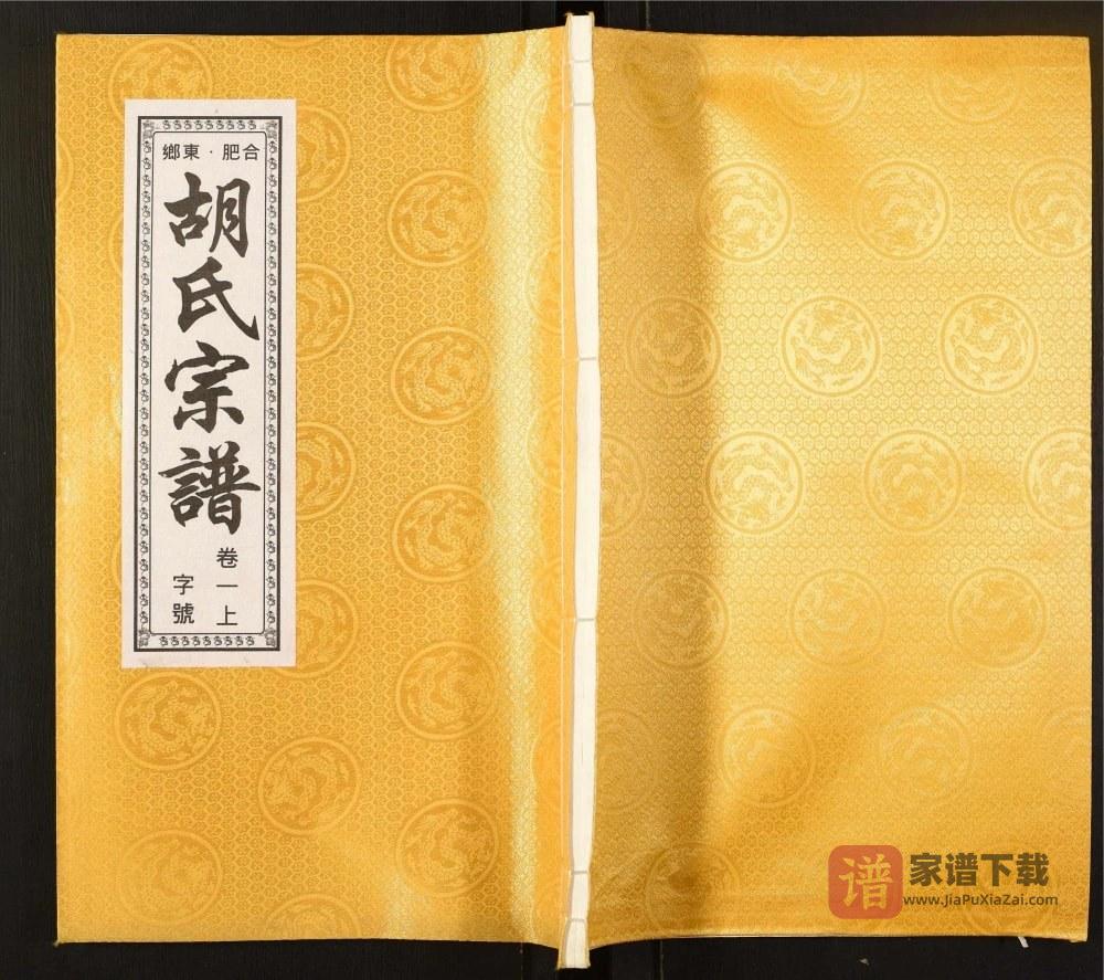 安徽合肥东乡胡氏宗谱（陈策堂）PDF高清电子版下载