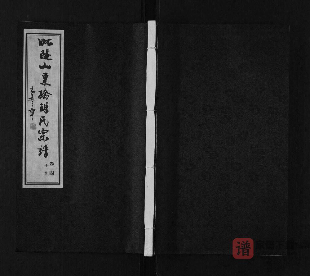 江苏常州毗陵山东桥胡氏宗谱（大雅堂）PDF高清电子版下载