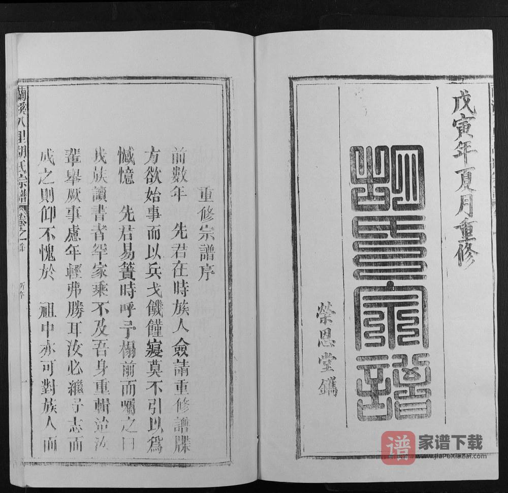 图片[2]-安徽池州东至县兰溪八里胡氏宗谱（荣恩堂）PDF高清电子版下载-家谱下载