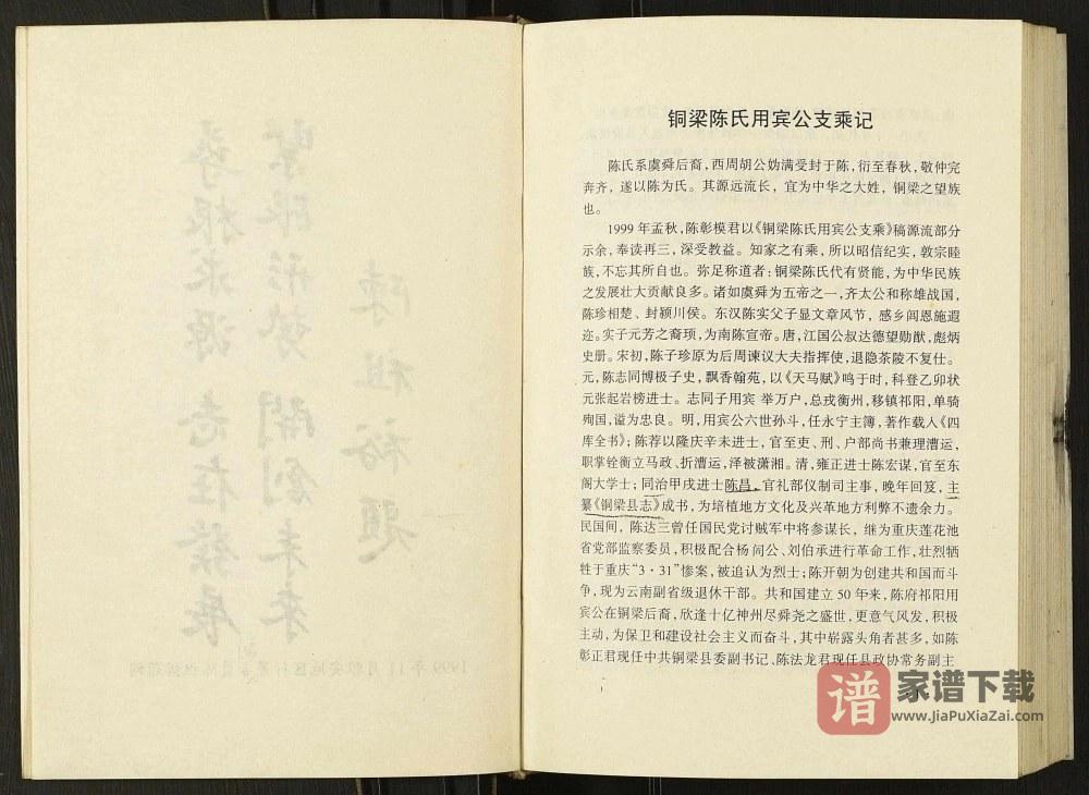 图片[2]-重庆铜梁区陈氏家乘记PDF高清电子版下载-家谱下载