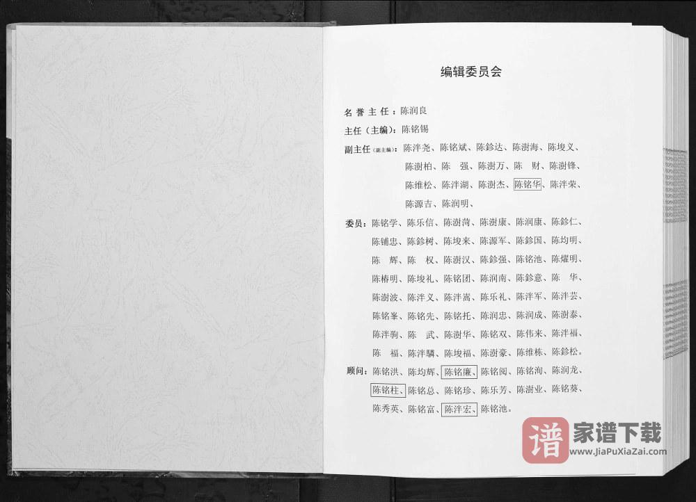 图片[2]-广西北海合浦县豪沃村回眸九塘下村今昔陈氏族谱PDF高清电子版下载-家谱下载