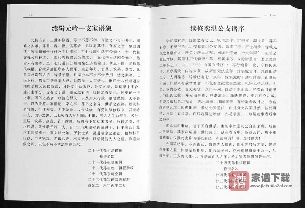 广西玉林陈氏家谱元岭公支PDF高清电子版下载