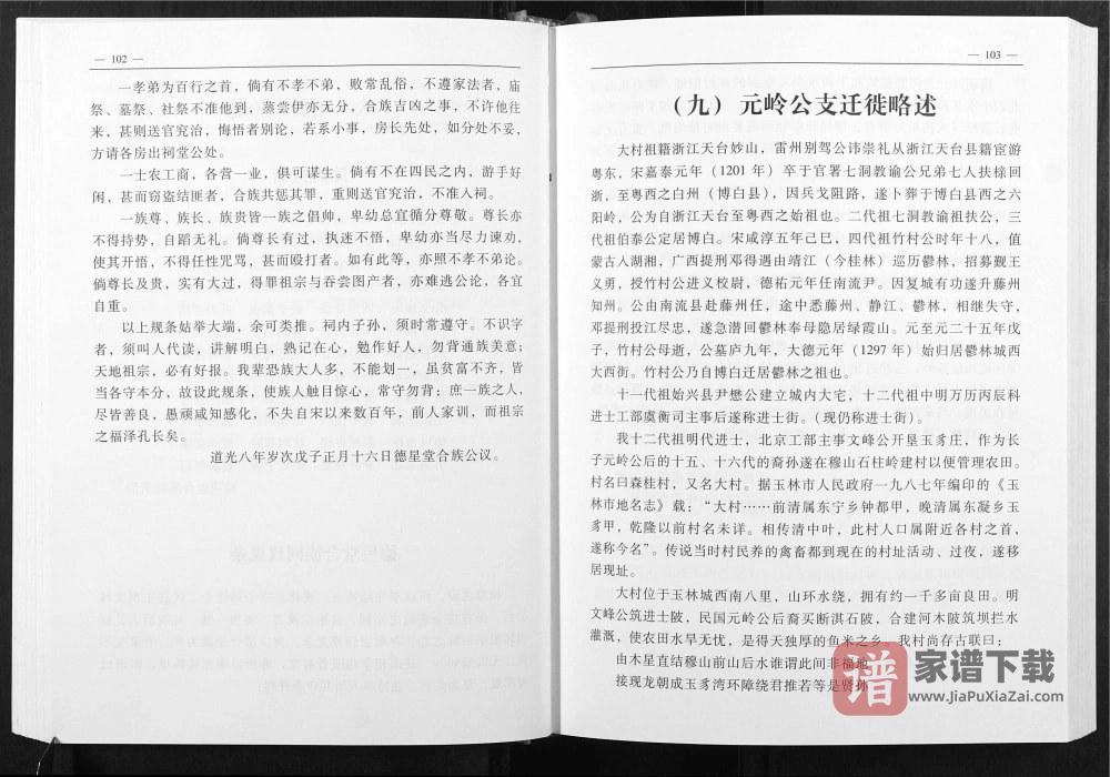 图片[2]-广西玉林陈氏家谱元岭公支PDF高清电子版下载-家谱下载