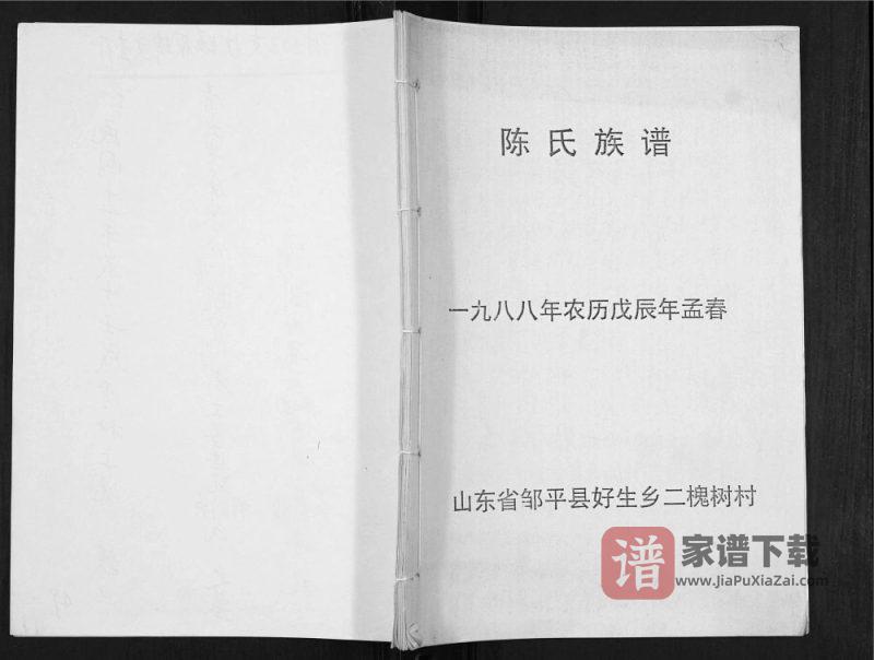 山东邹平好生乡二槐树村陈氏族谱PDF高清电子版下载-家谱下载