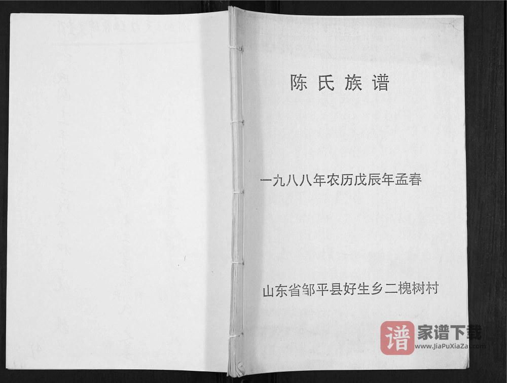 山东邹平好生乡二槐树村陈氏族谱PDF高清电子版下载