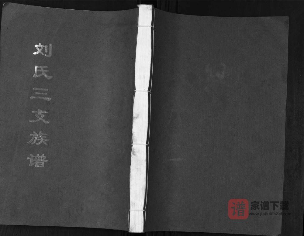 山东潍坊刘氏三支族谱PDF高清电子版下载