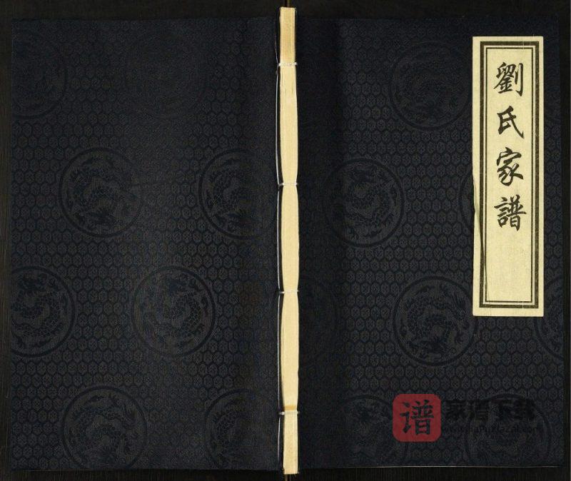 河北沧州东光县霞口镇魏庄村刘氏族谱PDF高清电子版下载-家谱下载