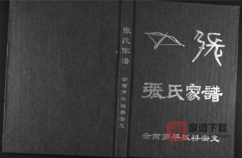 云南曲靖罗平板桥宗支张氏家谱PDF高清电子版下载-家谱下载