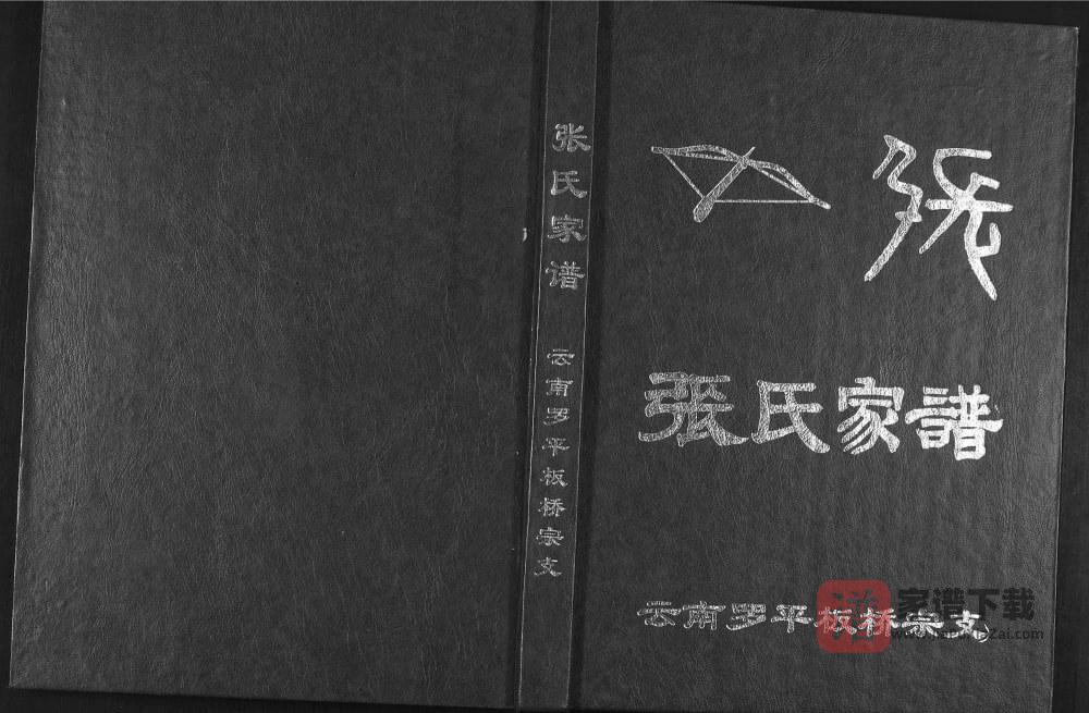 云南曲靖罗平板桥宗支张氏家谱PDF高清电子版下载