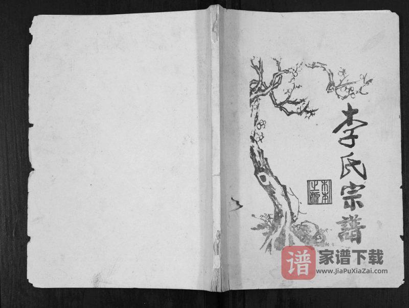 重庆垫江梁平李氏宗谱PDF高清电子版下载-家谱下载