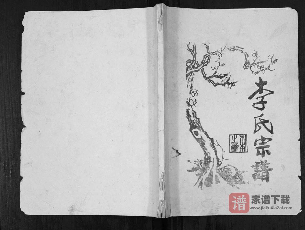 图片[1]-重庆垫江梁平李氏宗谱PDF高清电子版下载-家谱下载