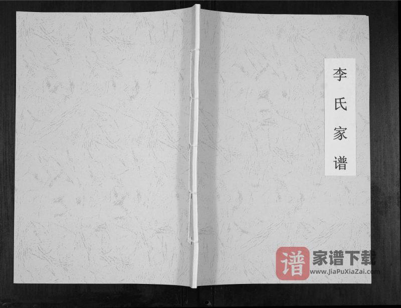 山西运城龙居镇长江府村李氏家谱PDF高清电子版下载-家谱下载