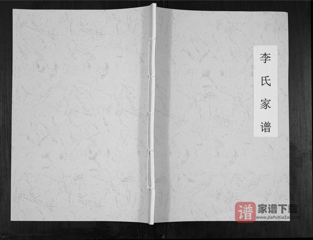 图片[1]-山西运城龙居镇长江府村李氏家谱PDF高清电子版下载-家谱下载
