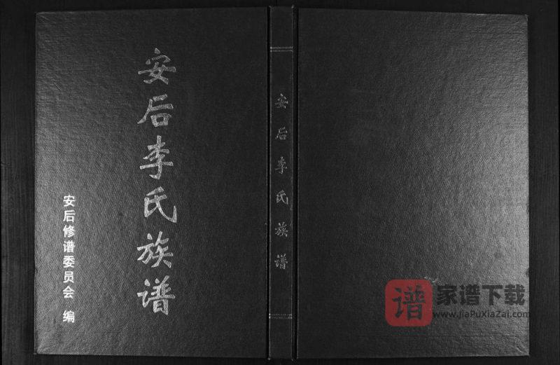 山东临沂莒南县安后李氏族谱PDF高清电子版下载-家谱下载