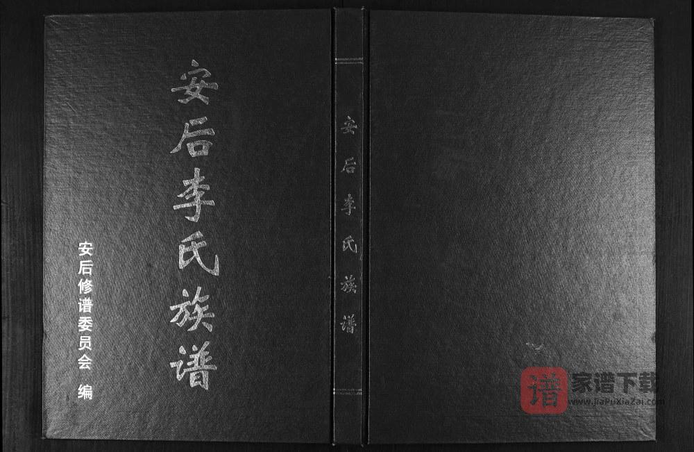 山东临沂莒南县安后李氏族谱PDF高清电子版下载