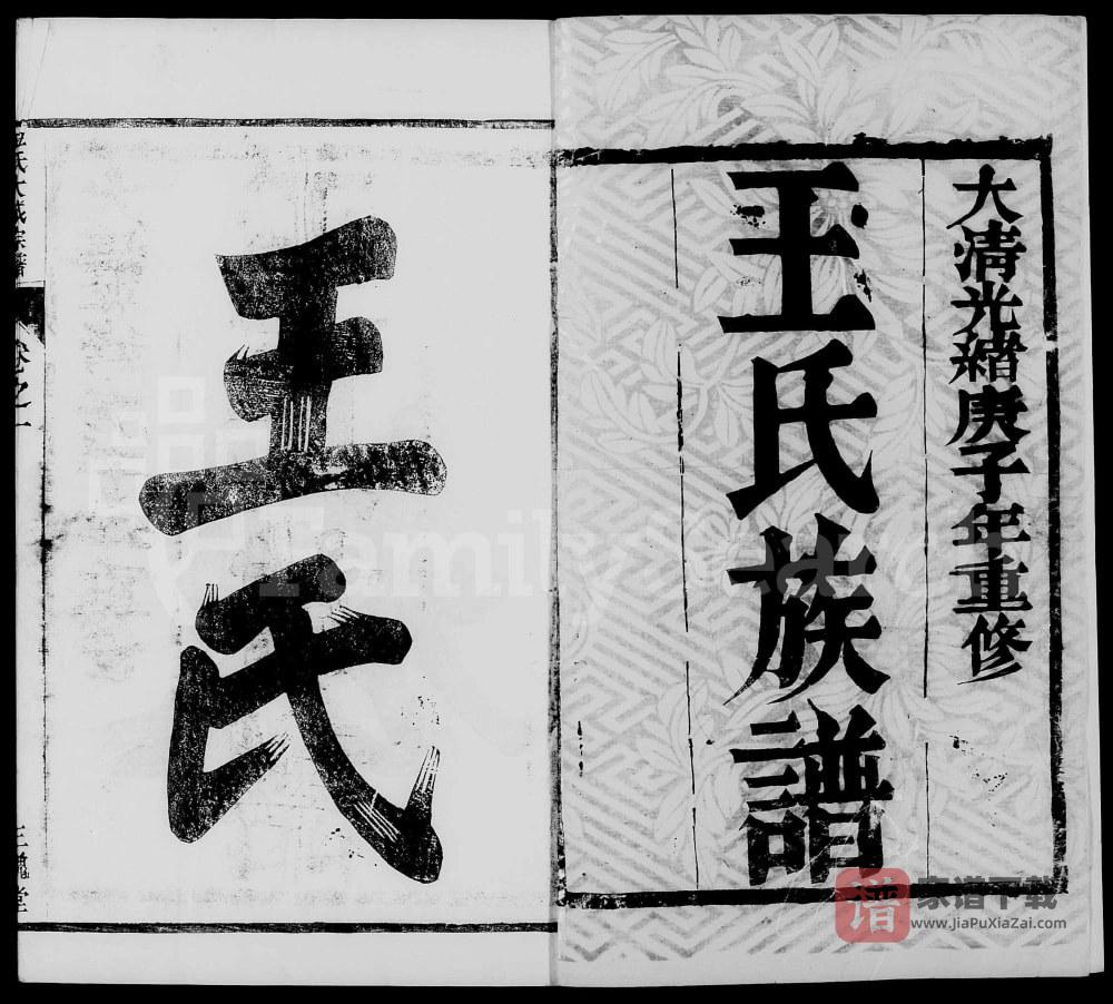 图片[2]-江苏镇江丹徒区‌王氏族谱（三槐堂）PDF高清电子版下载-家谱下载