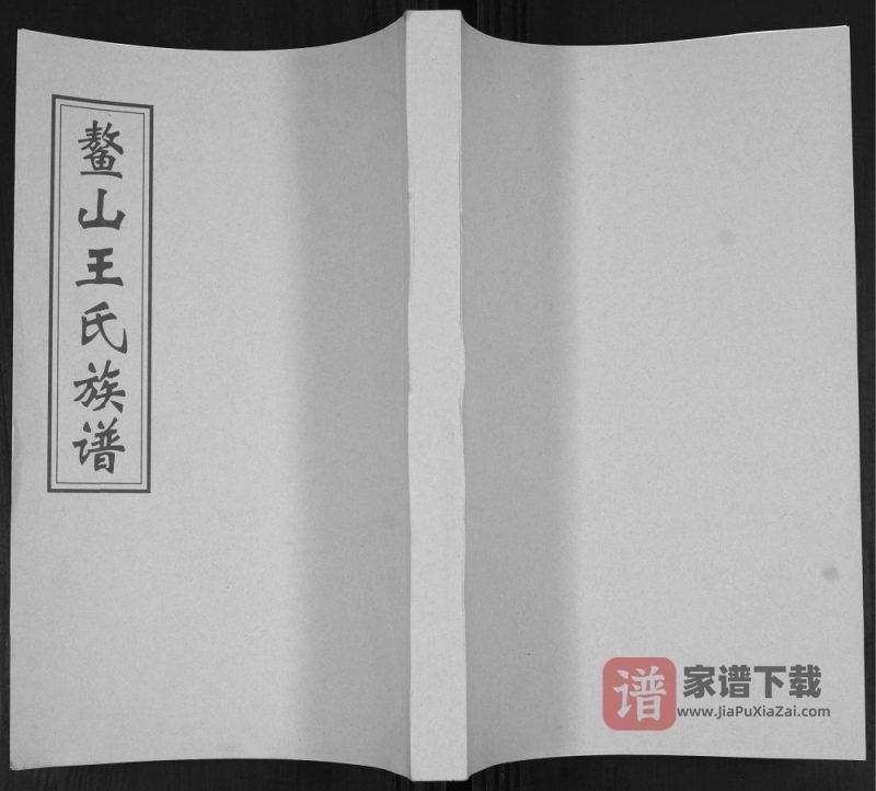 山东青岛即墨大信镇南王家庄鳌山王氏族谱PDF高清电子版下载-家谱下载