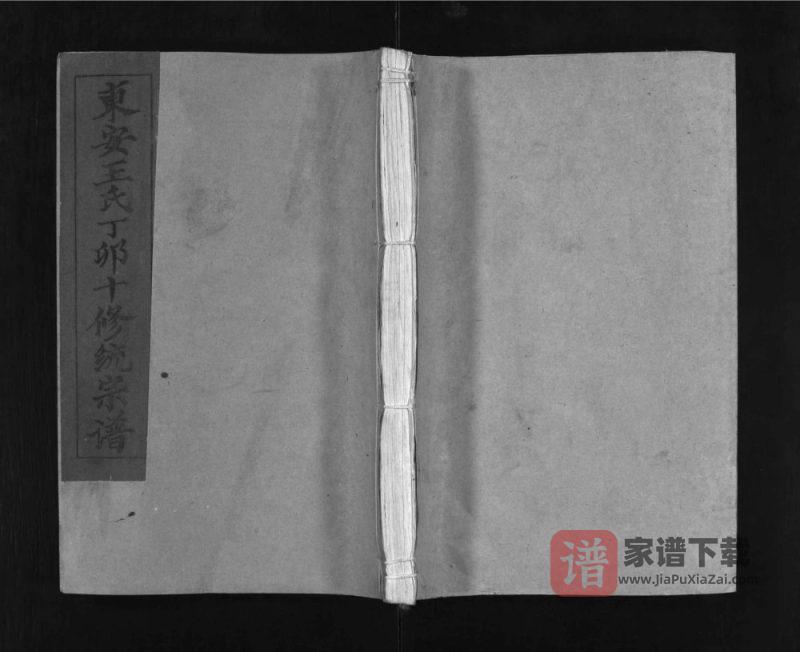 湖北黄冈罗田县东安王氏丁卯十修统宗谱PDF高清电子版下载-家谱下载