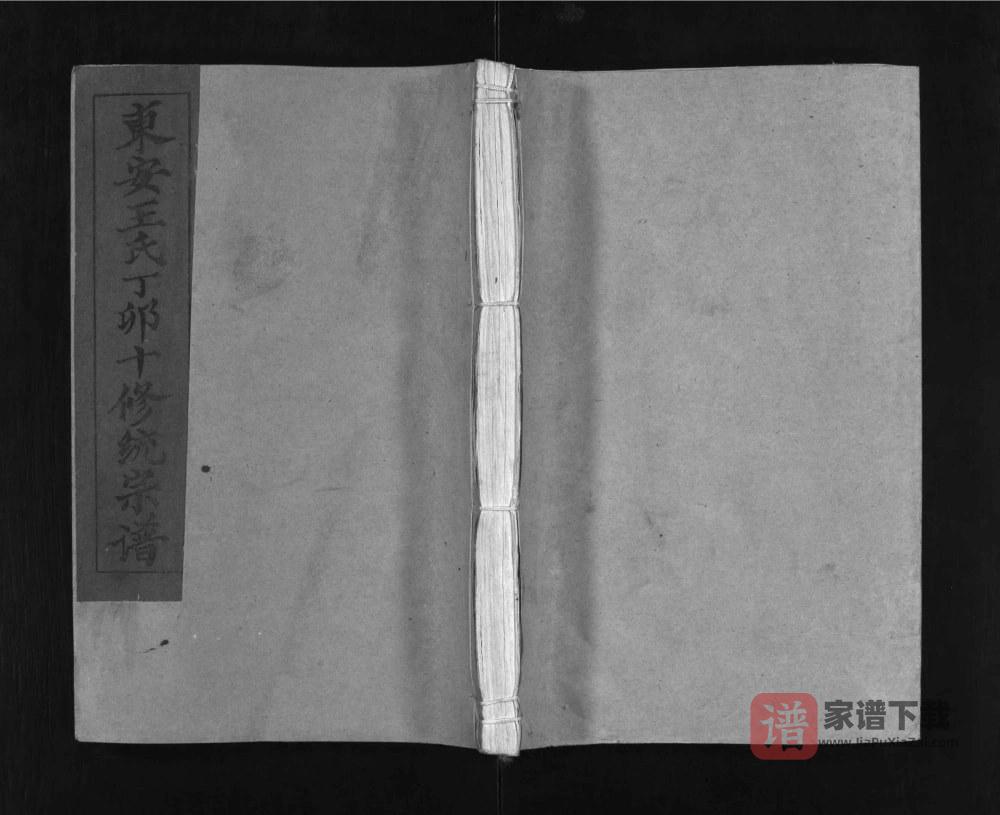 湖北黄冈罗田县东安王氏丁卯十修统宗谱PDF高清电子版下载