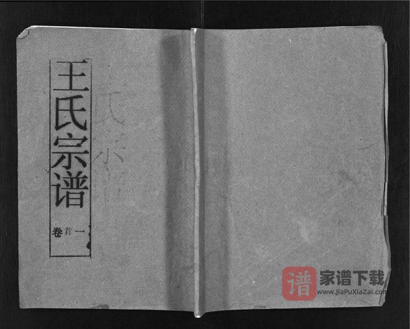 湖北鄂州王氏宗谱(醉经堂)PDF高清电子版下载-家谱下载