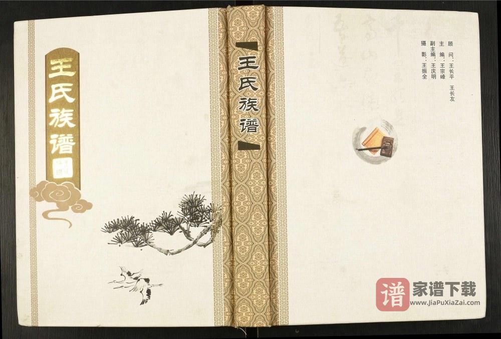 山东枣庄王庄王氏族谱（三槐堂）PDF高清电子版下载