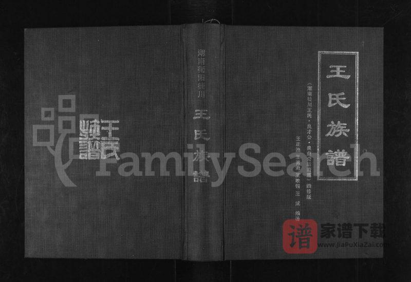 四川南充仪陇县王氏族谱湖南徙川王氏良才公良益公后裔篇PDF高清电子版下载-家谱下载
