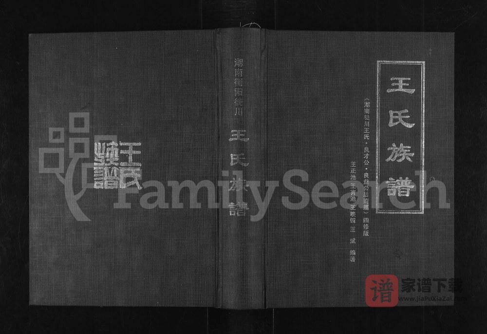 图片[1]-四川南充仪陇县王氏族谱湖南徙川王氏良才公良益公后裔篇PDF高清电子版下载-家谱下载