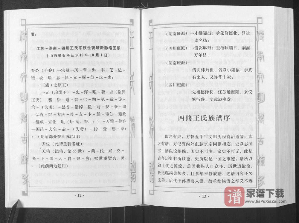图片[2]-四川南充仪陇县王氏族谱湖南徙川王氏良才公良益公后裔篇PDF高清电子版下载-家谱下载