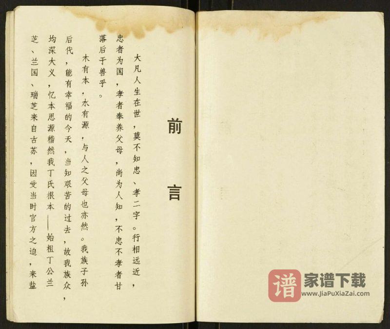 江苏盐城盐东丁家洋马丁氏家谱（济阳堂）PDF高清电子版下载-家谱下载