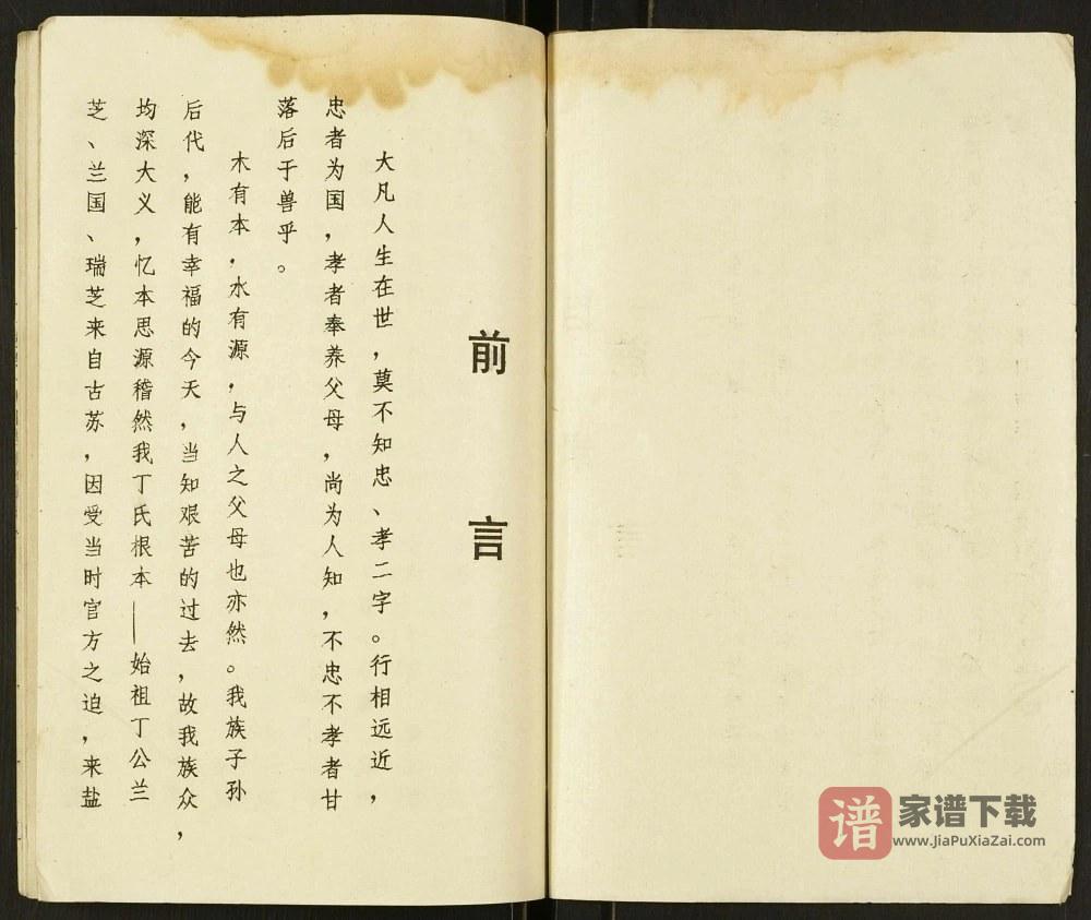 图片[1]-江苏盐城盐东丁家洋马丁氏家谱（济阳堂）PDF高清电子版下载-家谱下载