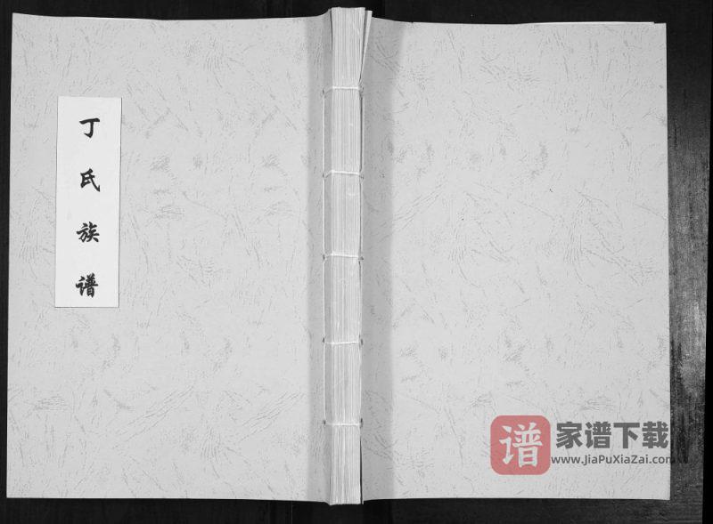 山东聊城丁氏族谱PDF高清电子版下载-家谱下载