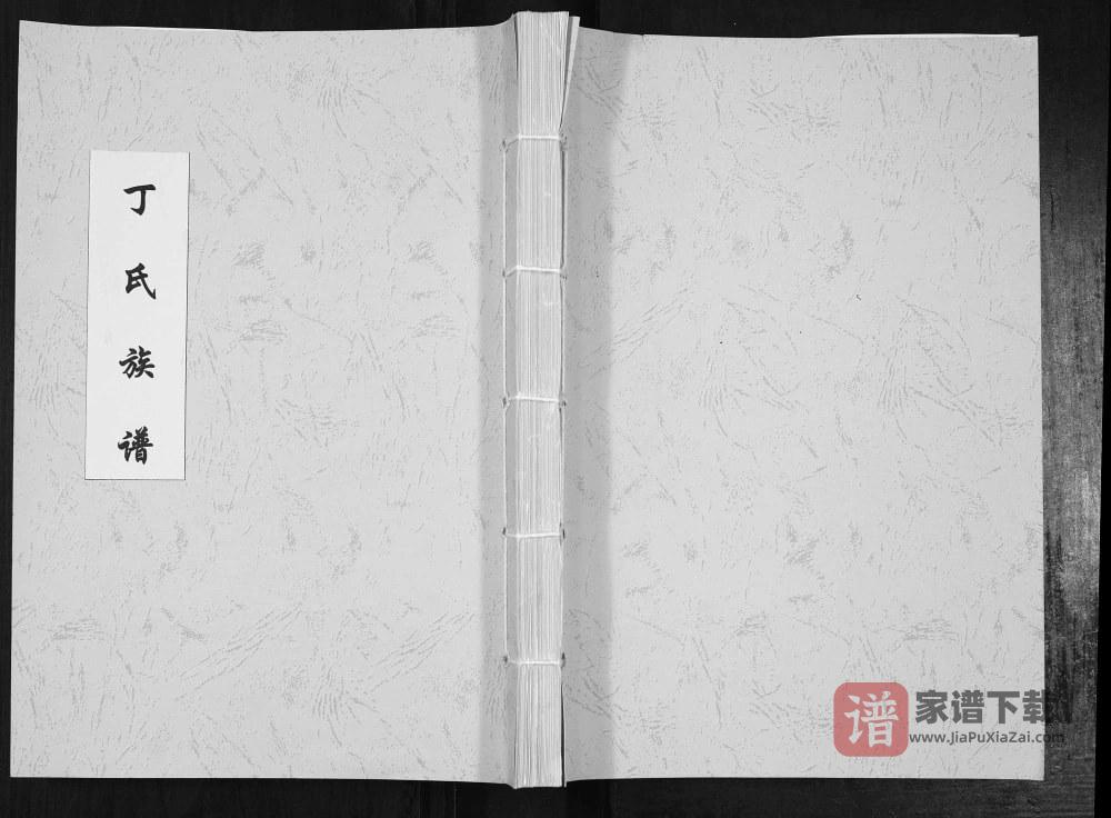 图片[1]-山东聊城丁氏族谱PDF高清电子版下载-家谱下载